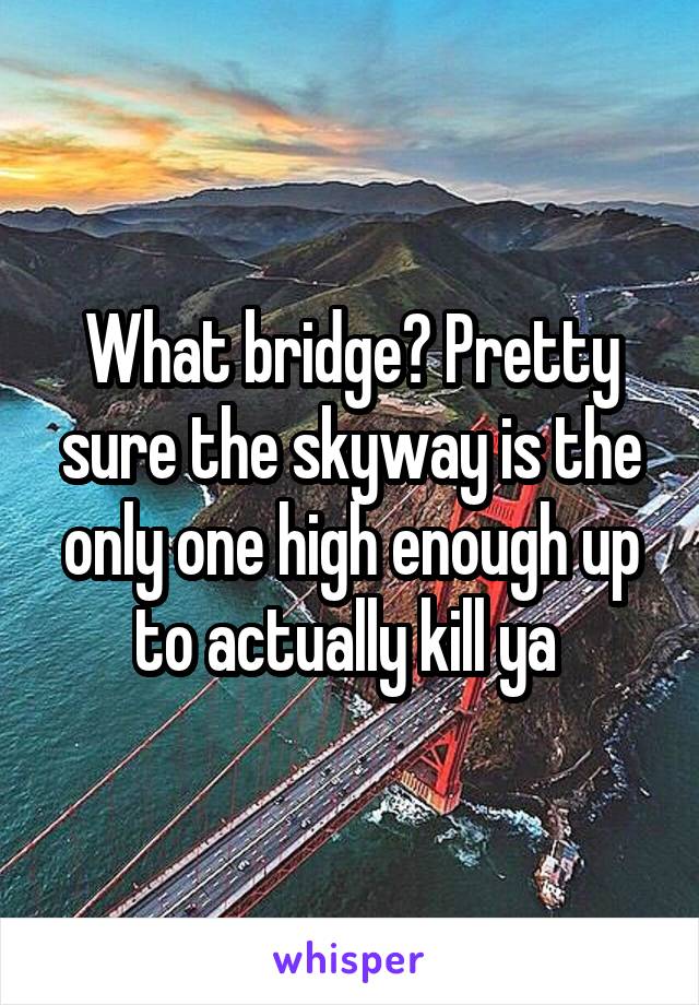 What bridge? Pretty sure the skyway is the only one high enough up to actually kill ya 