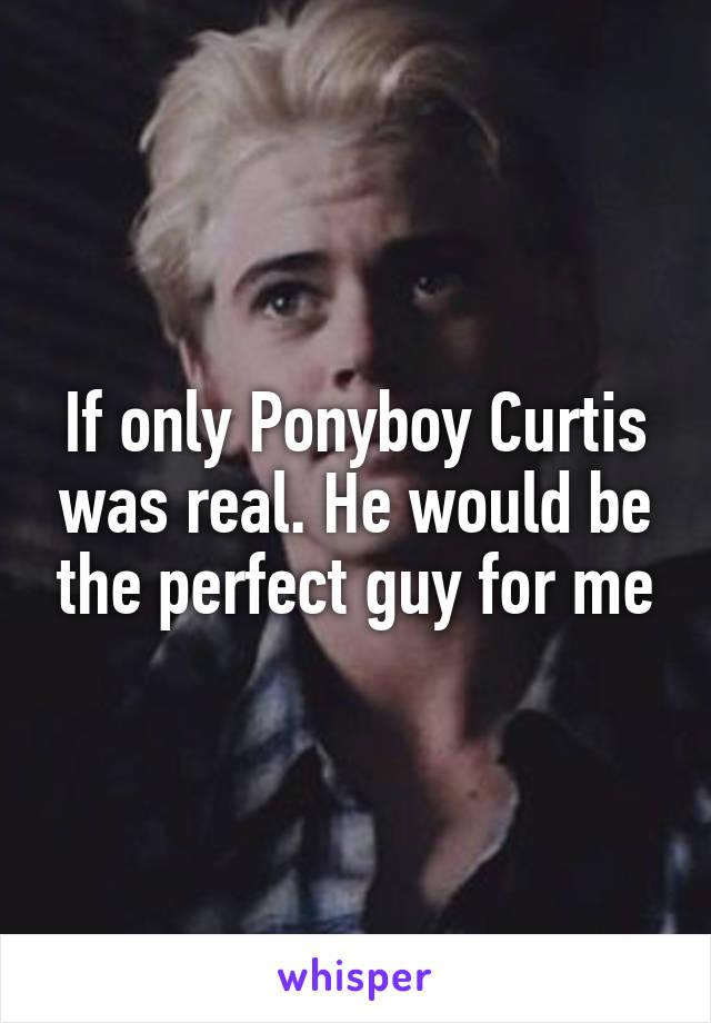 If only Ponyboy Curtis was real. He would be the perfect guy for me