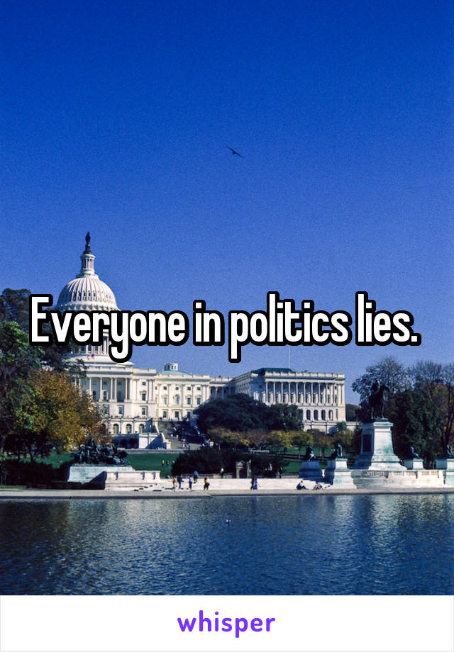 Everyone in politics lies. 