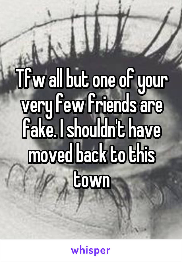 Tfw all but one of your very few friends are fake. I shouldn't have moved back to this town