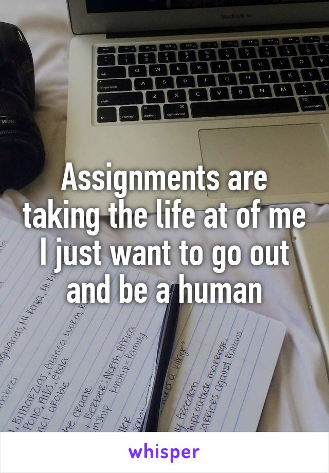 Assignments are taking the life at of me I just want to go out and be a human