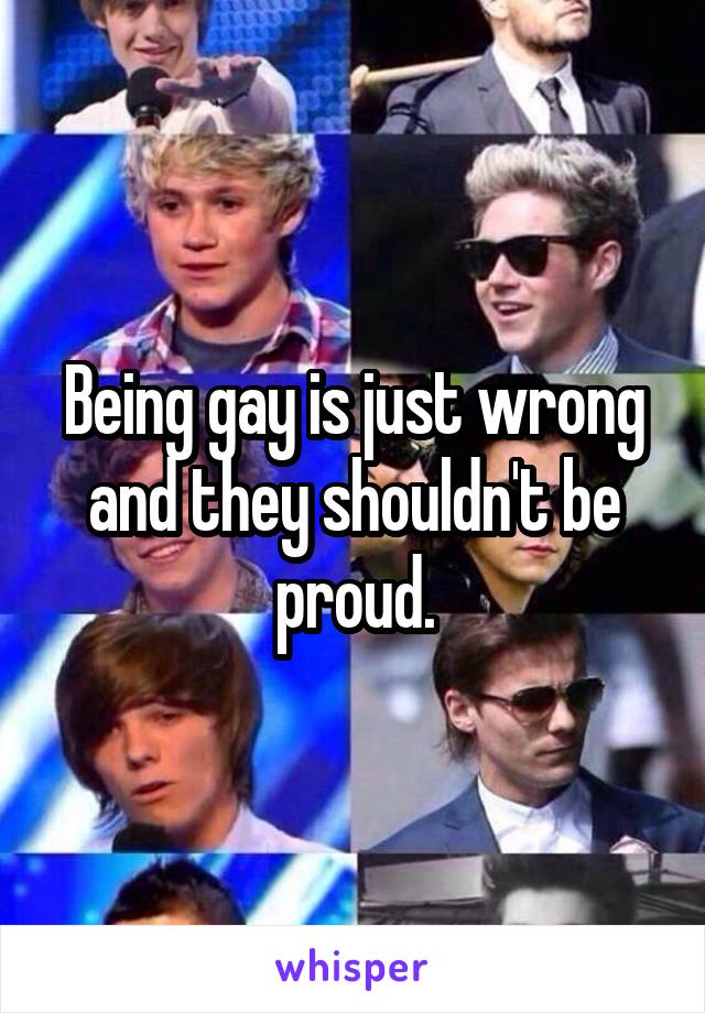 Being gay is just wrong and they shouldn't be proud.