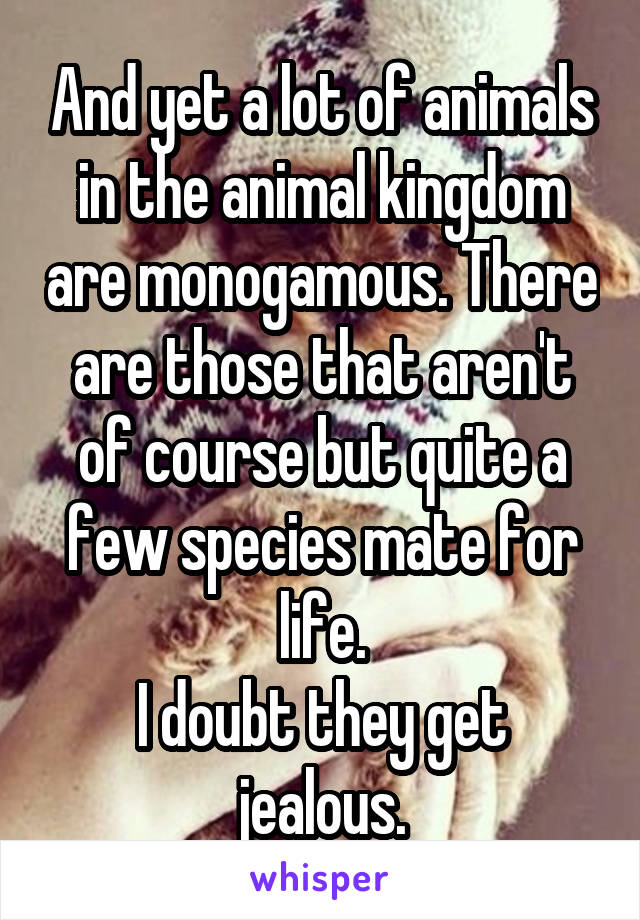 And yet a lot of animals in the animal kingdom are monogamous. There are those that aren't of course but quite a few species mate for life.
I doubt they get jealous.