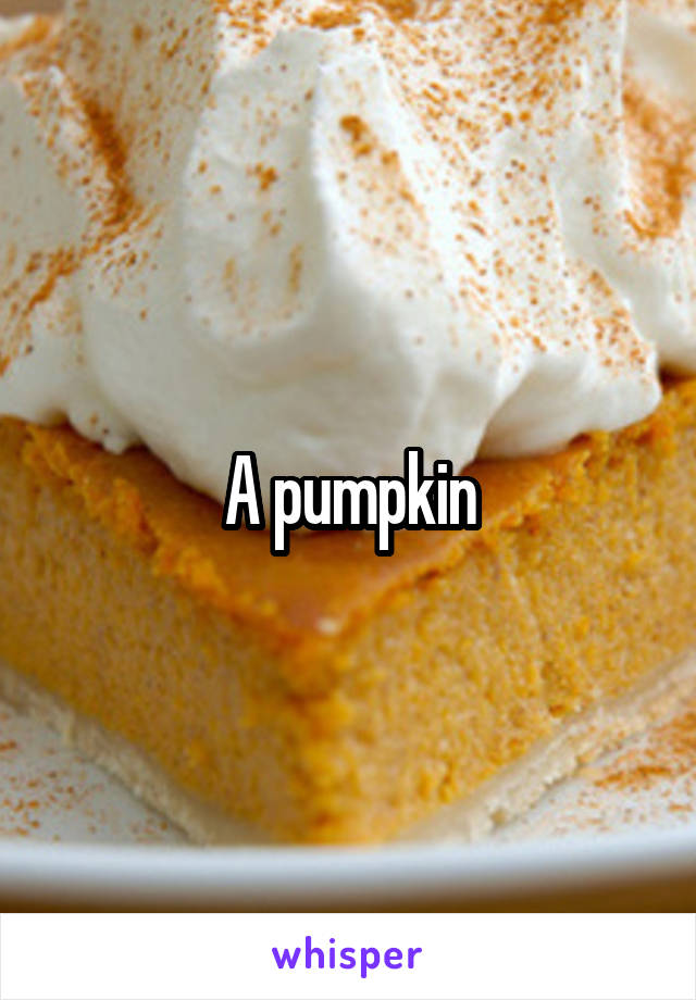 A pumpkin
