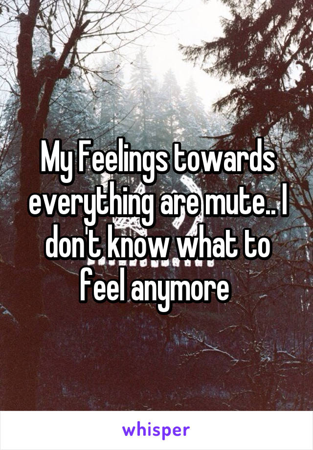 My Feelings towards everything are mute.. I don't know what to feel anymore 