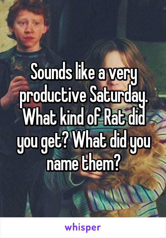 Sounds like a very productive Saturday. What kind of Rat did you get? What did you name them?