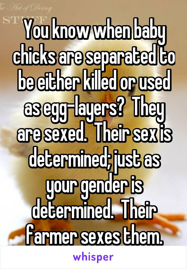 You know when baby chicks are separated to be either killed or used as egg-layers?  They are sexed.  Their sex is determined; just as your gender is determined.  Their farmer sexes them.