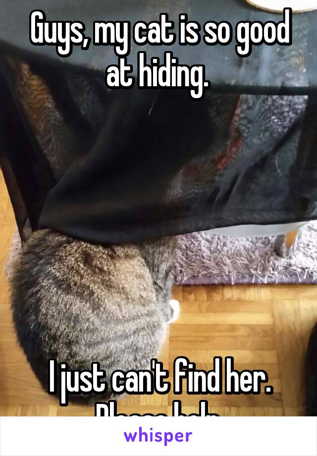 Guys, my cat is so good at hiding. 






I just can't find her. Please help.