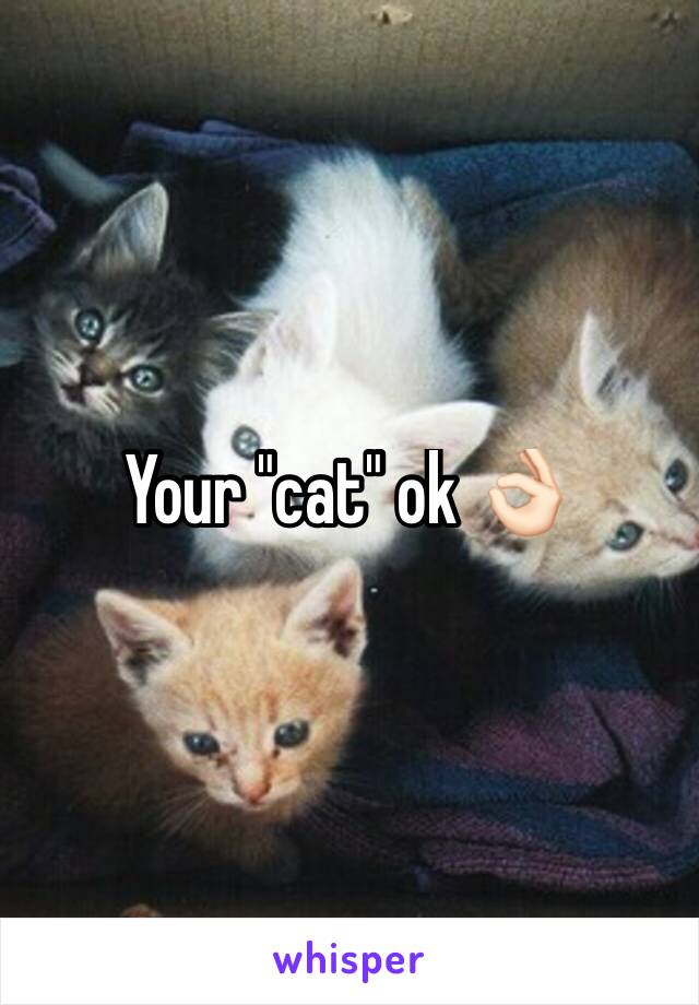 Your "cat" ok 👌🏻