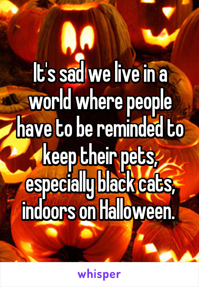 It's sad we live in a world where people have to be reminded to keep their pets, especially black cats, indoors on Halloween. 