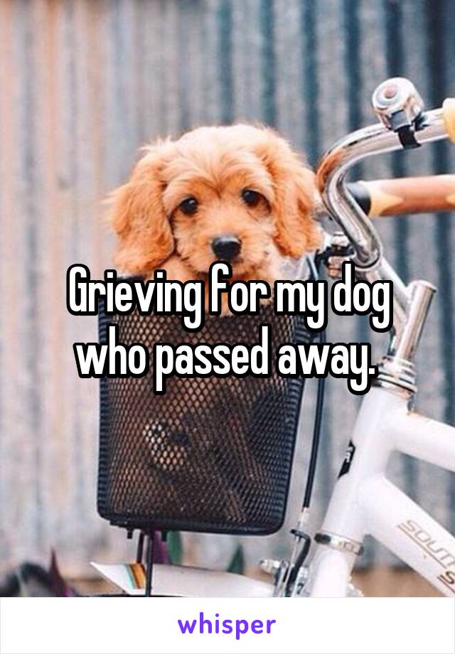 Grieving for my dog who passed away. 