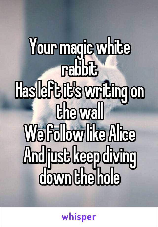 Your magic white rabbit
Has left it's writing on the wall
We follow like Alice
And just keep diving down the hole