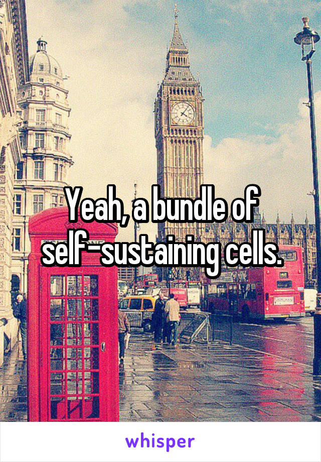Yeah, a bundle of self-sustaining cells.