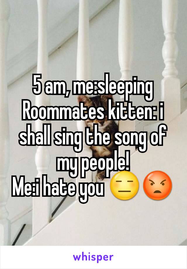 5 am, me:sleeping
Roommates kitten: i shall sing the song of my people!
Me:i hate you 😑😡
