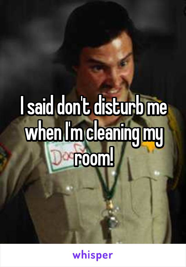 I said don't disturb me when I'm cleaning my room!