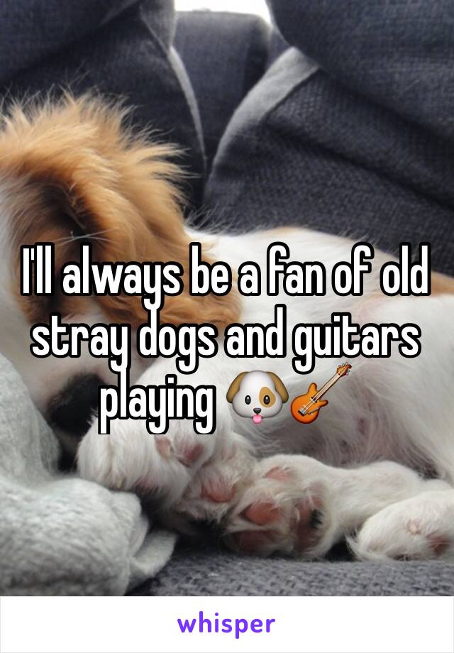 I'll always be a fan of old stray dogs and guitars playing 🐶🎸