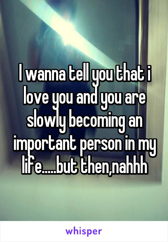 I wanna tell you that i love you and you are slowly becoming an important person in my life.....but then,nahhh