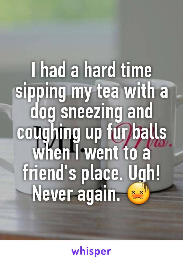 I had a hard time sipping my tea with a dog sneezing and coughing up fur balls when I went to a friend's place. Ugh! Never again. 😖