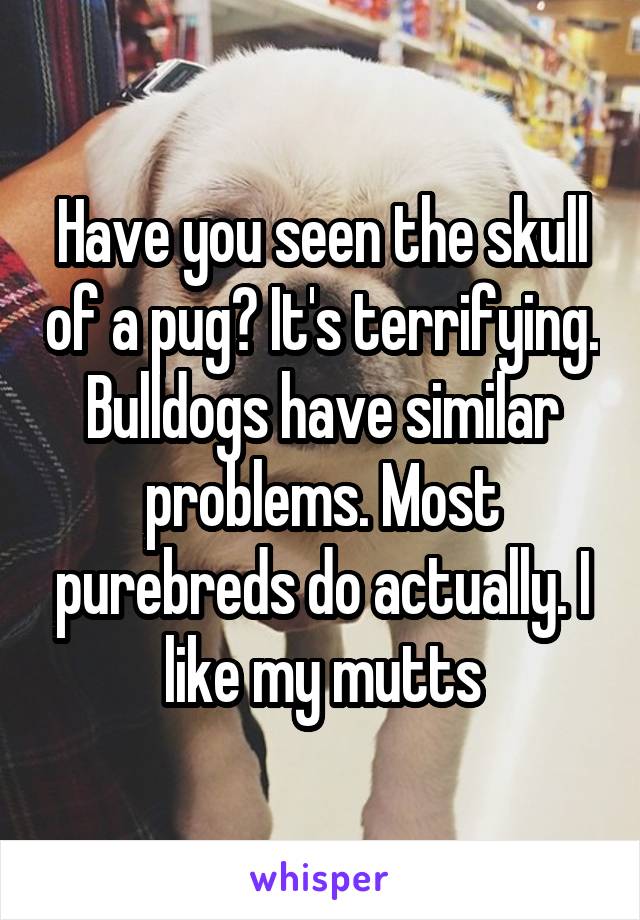 Have you seen the skull of a pug? It's terrifying. Bulldogs have similar problems. Most purebreds do actually. I like my mutts