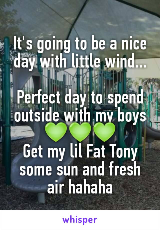 It's going to be a nice day with little wind...

Perfect day to spend outside with my boys
💚💚💚
Get my lil Fat Tony some sun and fresh air hahaha