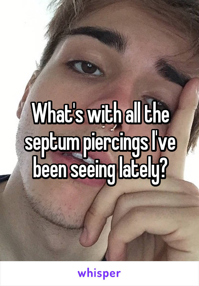What's with all the septum piercings I've been seeing lately?