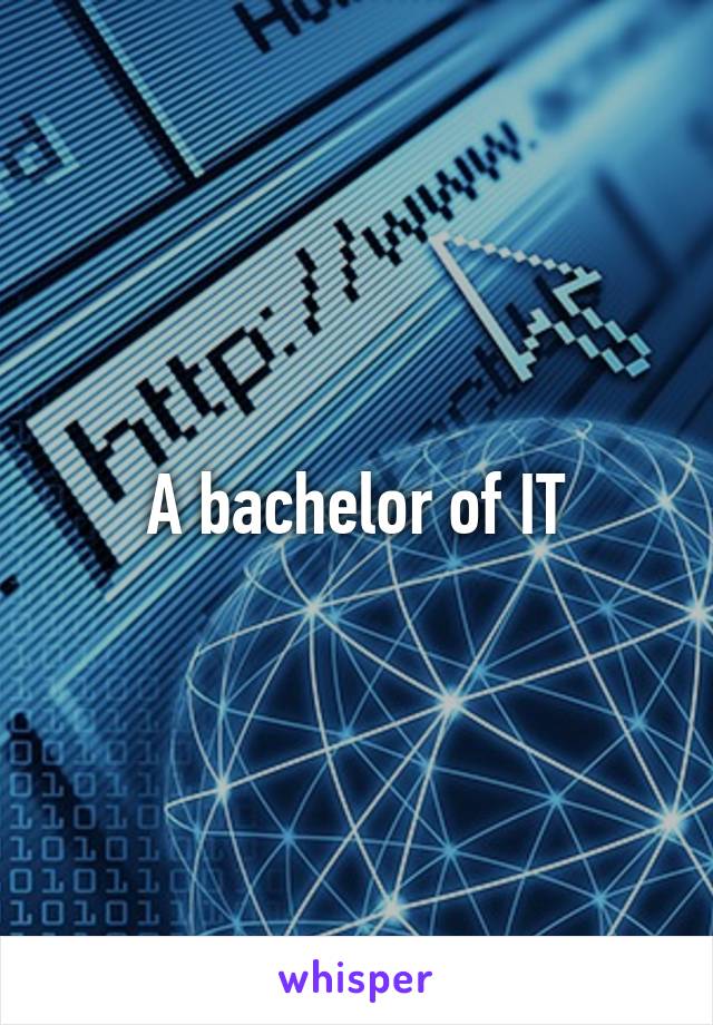 A bachelor of IT
