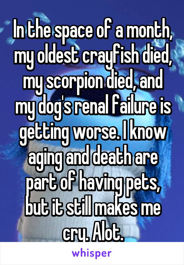 In the space of a month, my oldest crayfish died, my scorpion died, and my dog's renal failure is getting worse. I know aging and death are part of having pets, but it still makes me cry. Alot.