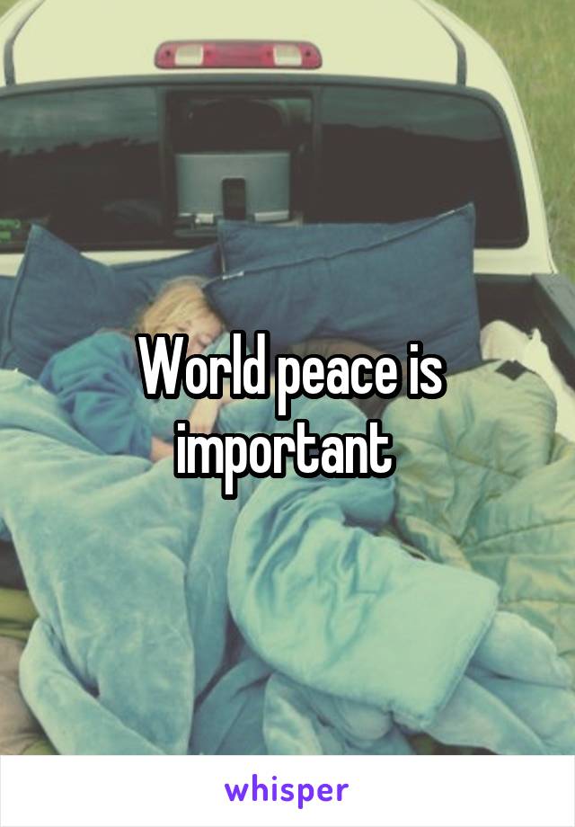 World peace is important 