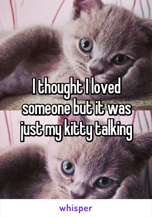 I thought I loved someone but it was just my kitty talking