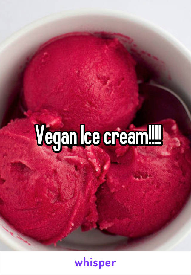  Vegan Ice cream!!!!