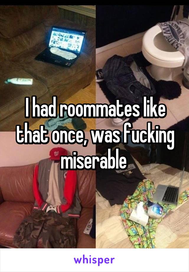 I had roommates like that once, was fucking miserable 