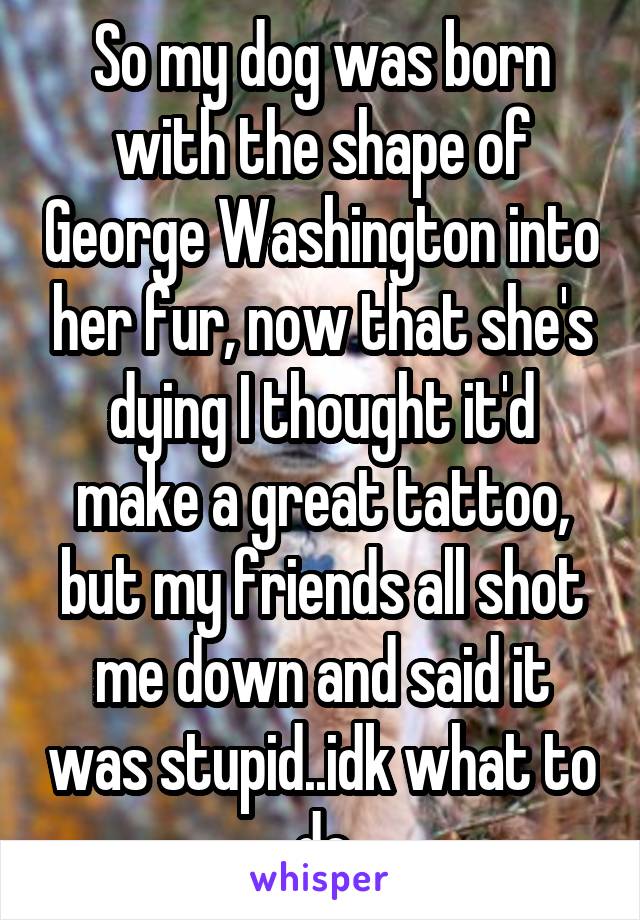 So my dog was born with the shape of George Washington into her fur, now that she's dying I thought it'd make a great tattoo, but my friends all shot me down and said it was stupid..idk what to do