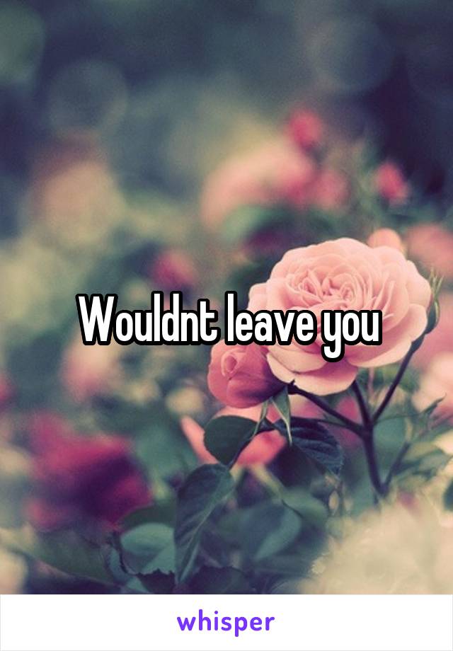 Wouldnt leave you
