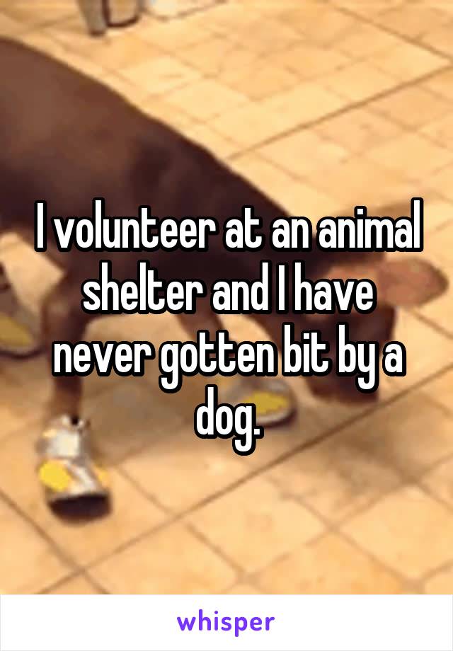 I volunteer at an animal shelter and I have never gotten bit by a dog.