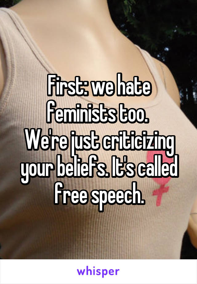 First: we hate feminists too. 
We're just criticizing your beliefs. It's called free speech.