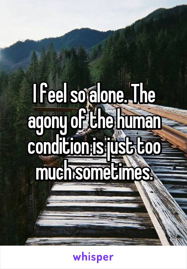 I feel so alone. The agony of the human condition is just too much sometimes.