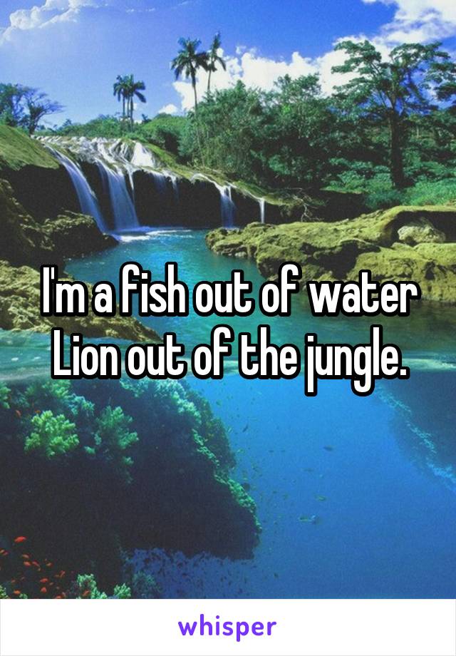 I'm a fish out of water
Lion out of the jungle.