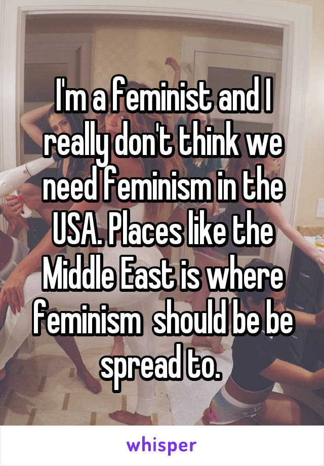 I'm a feminist and I really don't think we need feminism in the USA. Places like the Middle East is where feminism  should be be spread to. 
