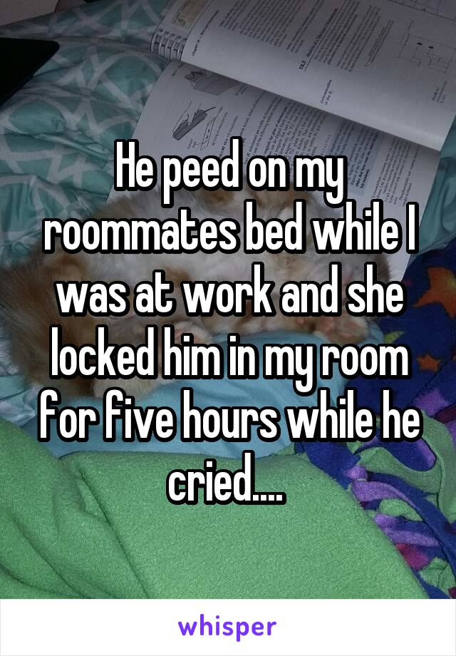He peed on my roommates bed while I was at work and she locked him in my room for five hours while he cried.... 