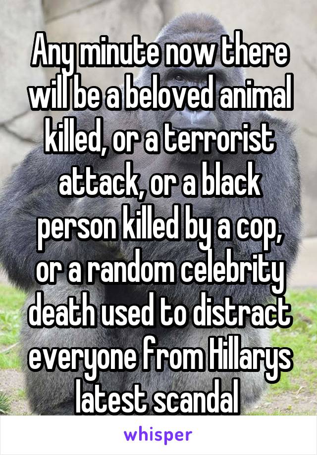 Any minute now there will be a beloved animal killed, or a terrorist attack, or a black person killed by a cop, or a random celebrity death used to distract everyone from Hillarys latest scandal 