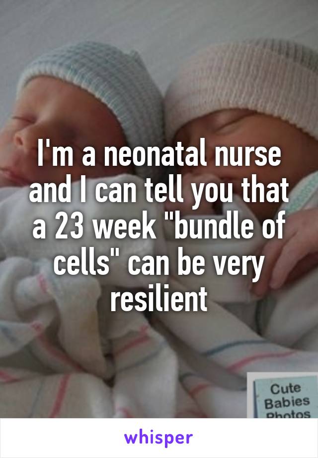 I'm a neonatal nurse and I can tell you that a 23 week "bundle of cells" can be very resilient