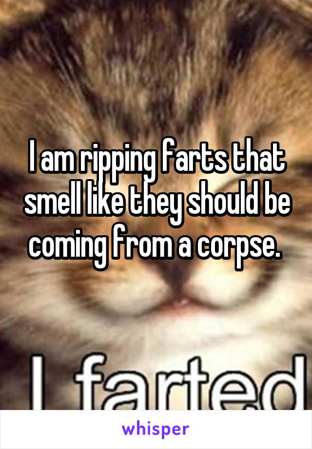 I am ripping farts that smell like they should be coming from a corpse. 
