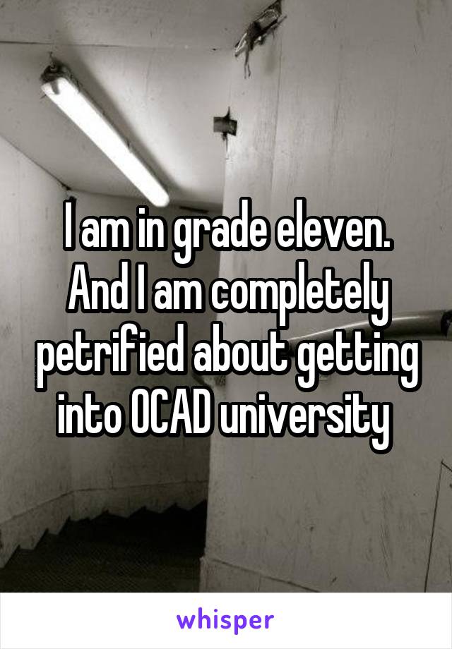 I am in grade eleven. And I am completely petrified about getting into OCAD university 