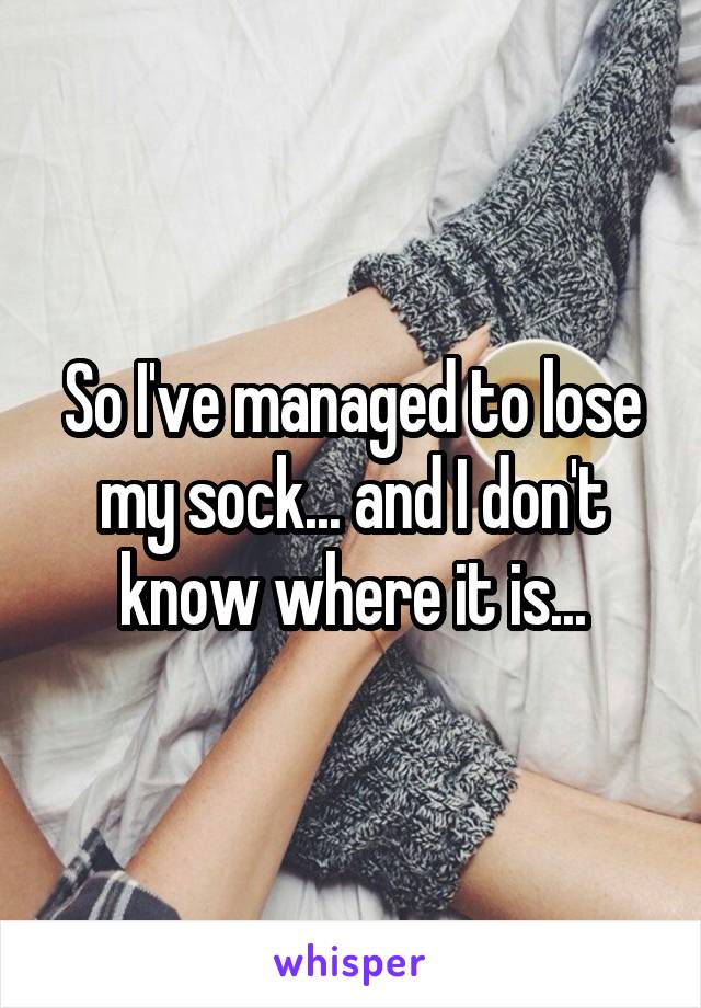 So I've managed to lose my sock... and I don't know where it is...