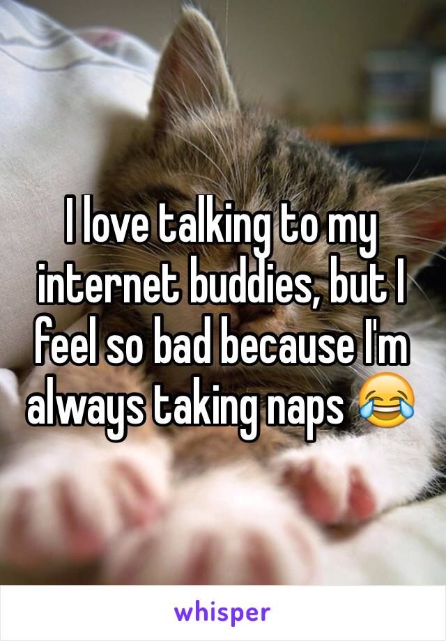 I love talking to my internet buddies, but I feel so bad because I'm always taking naps 😂