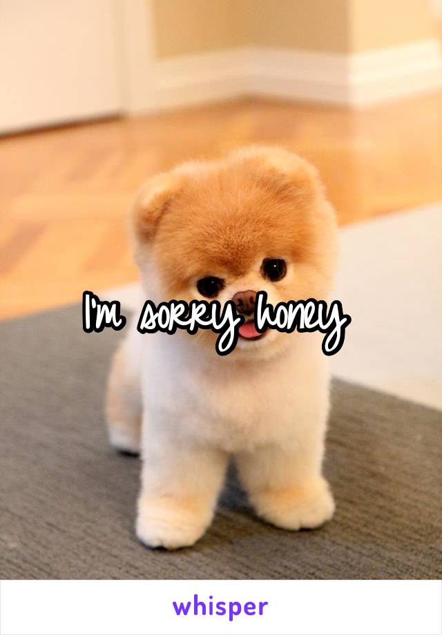 I'm sorry honey 