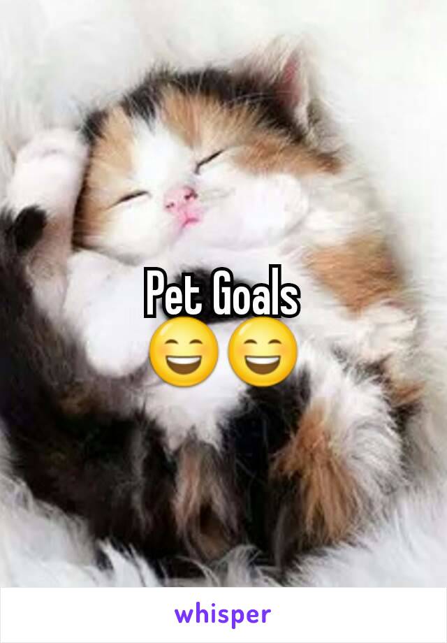 Pet Goals
😄😄