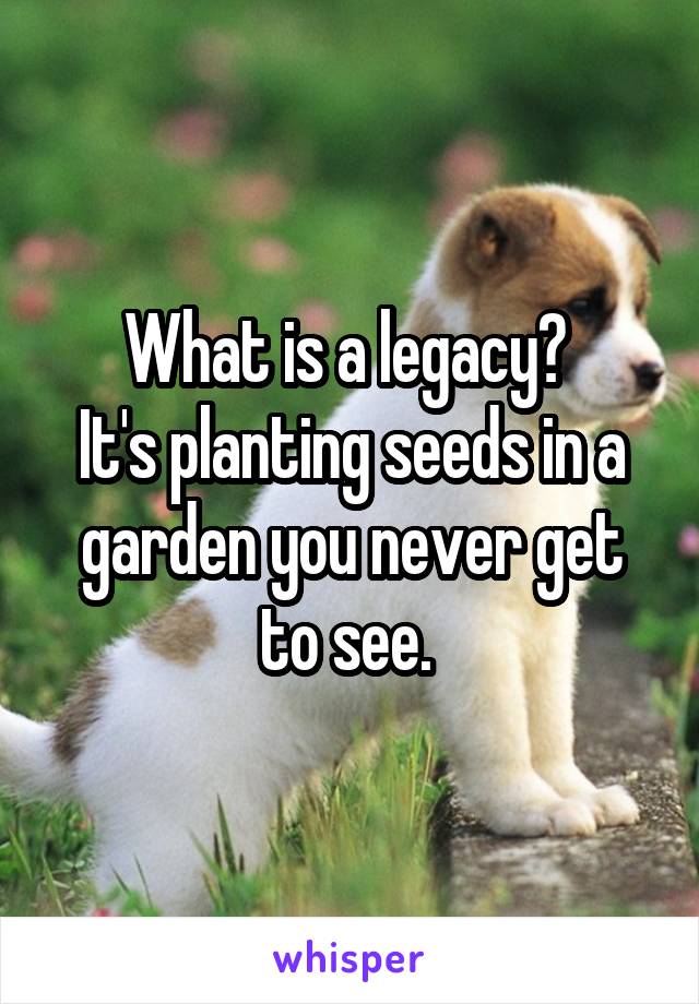 What is a legacy? 
It's planting seeds in a garden you never get to see. 