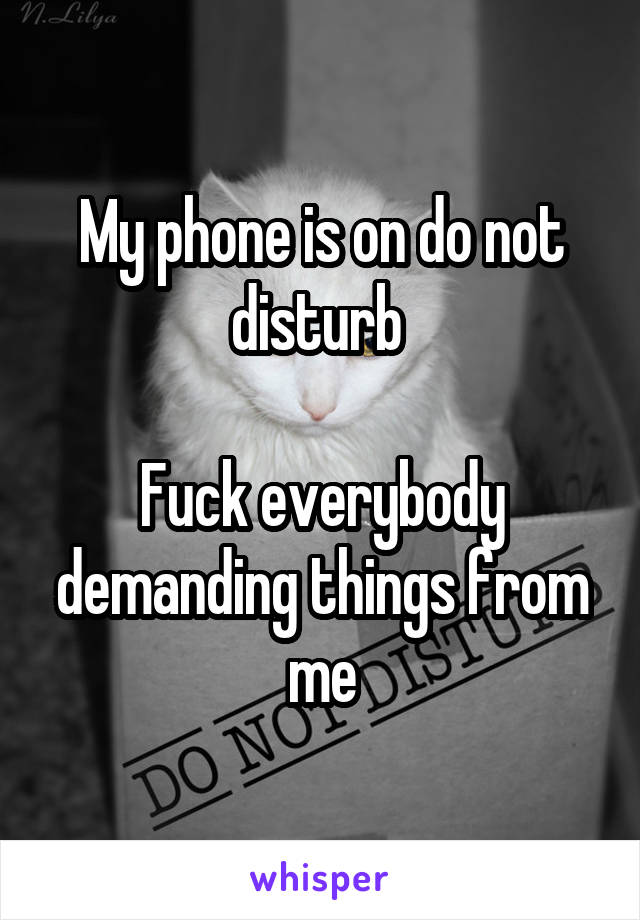 My phone is on do not disturb 

Fuck everybody demanding things from me