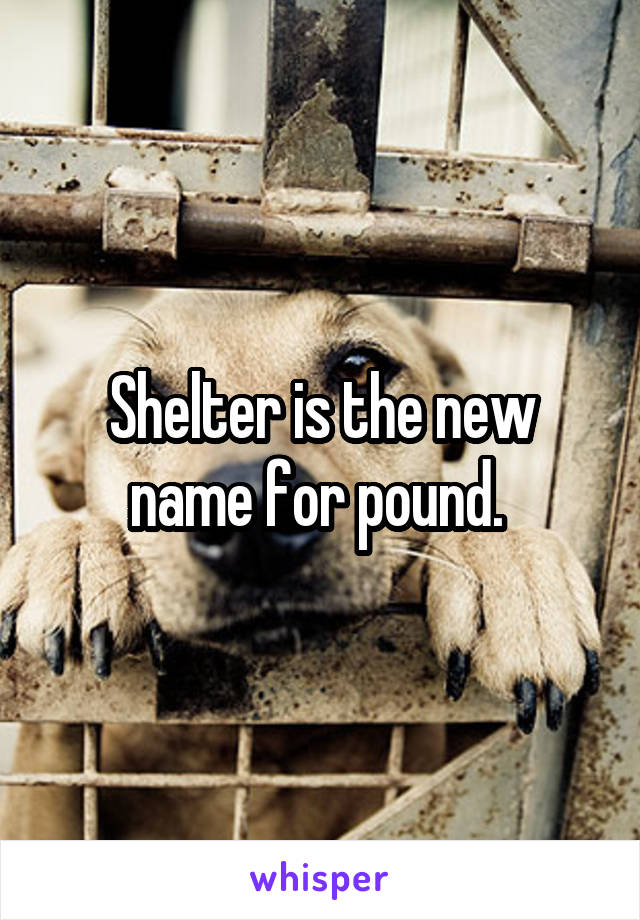 Shelter is the new name for pound. 